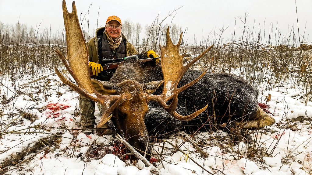 Alberta moose hunting in Canada with Alpine Outfitters