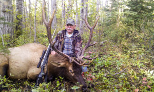 Alberta elk hunting in Canada