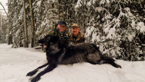 Adventures while wolf hunting in Alberta, Canada