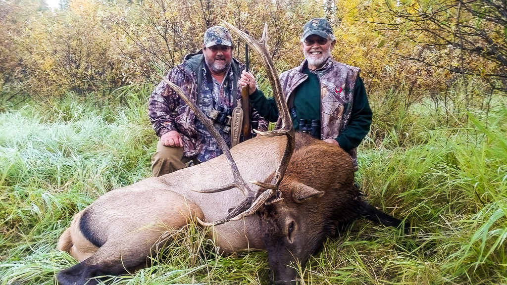 Alberta elk hunting in Canada with Alpine Outfitters