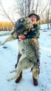 Adventures while wolf hunting in Alberta, Canada