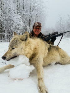Adventures while wolf hunting in Alberta, Canada