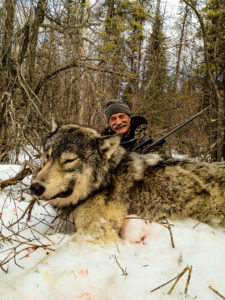 Adventures while wolf hunting in Alberta, Canada