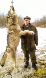 Adventures while wolf hunting in Alberta, Canada