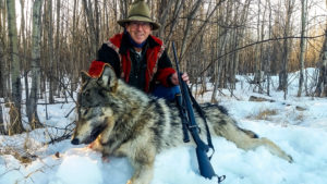 Adventures while wolf hunting in Alberta, Canada